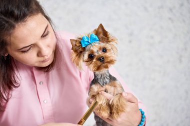 Köpek kılı kesiyorum.