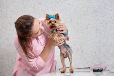Pomeranian 'lı veteriner doktor.