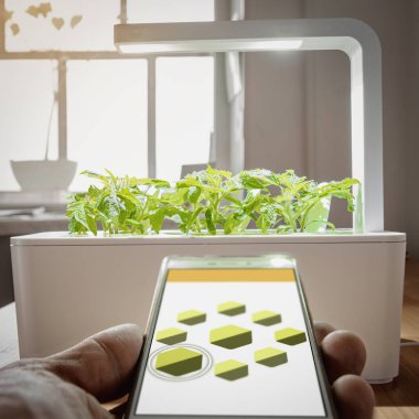 Bitki büyümesi kontrol ediliyor