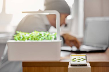 uzak ve büyüyen bitki