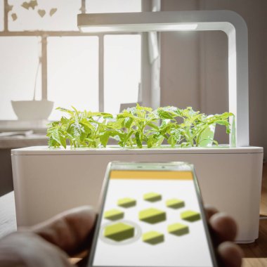 Bitki büyümesi kontrolü