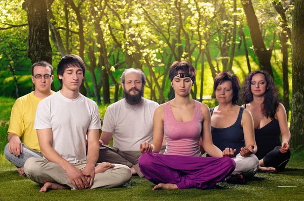 Meditazione di persone Yoga all'aperto Foto Stock Royalty Free