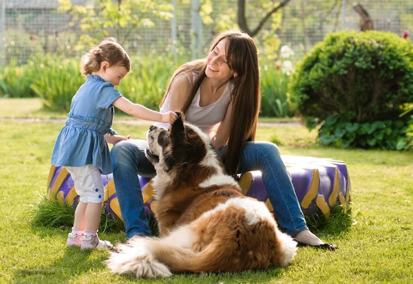 Aile ve köpek