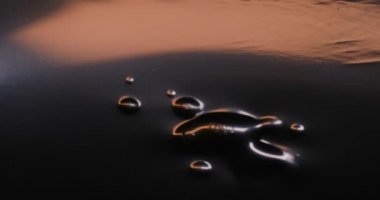 Eski film şeridi köpükle yanar. Plastik yanan baloncuklar 35 mm 'lik eski film şeridini yakar. Yanan baloncuklar izole edilir. Klasik film makarası, sinematik retro etkisi.