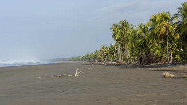 büyük okyanus plaj