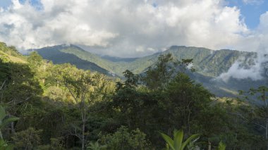 Chirripo Milli Parkı