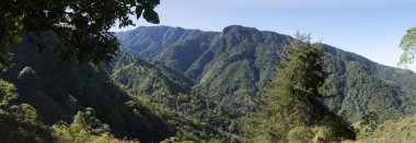 Chirripo Milli Parkı