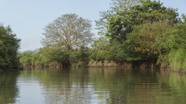 Frio Nehri. Cano Negro, Kosta Rika