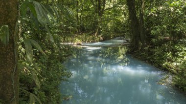 Celeste Nehri, Kosta Rika