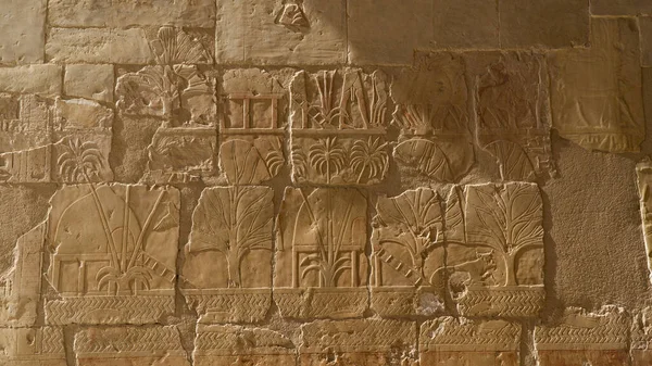 Stone Hieroglyphs Egypt Africa — Stock Photo, Image