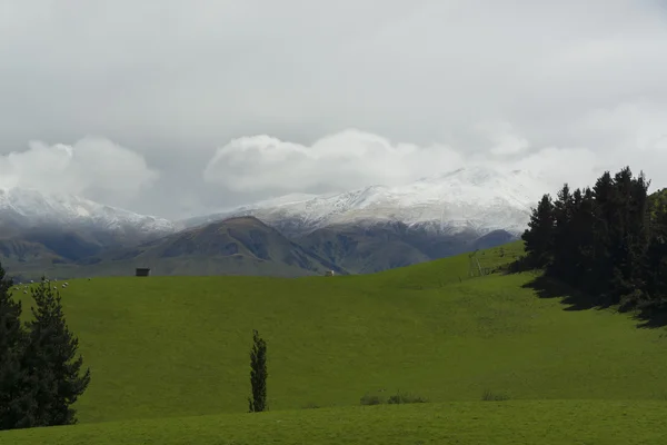 Пейзаж нової Зеландії — стокове фото
