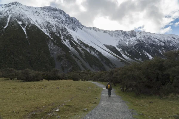 Sendero de montaña en Nueva Zelanda —  Fotos de Stock