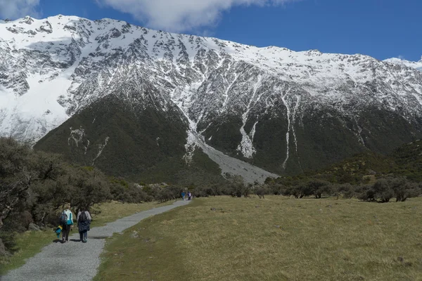 Sentiero montano in Nuova Zelanda — Foto Stock