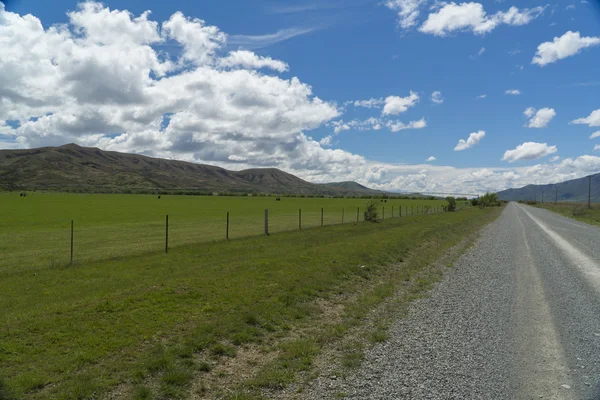 Дорога и пастбища Новой Зеландии — стоковое фото