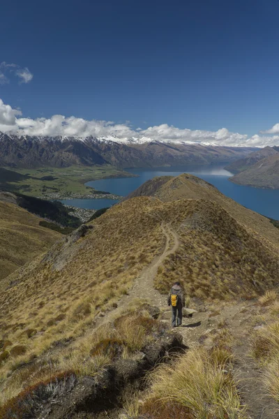 Sendero de montaña en Nueva Zelanda — Foto de Stock