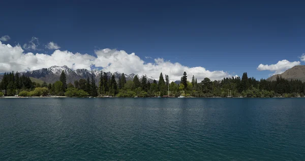 Queenstown gardens. New Zealand — Stock Photo, Image