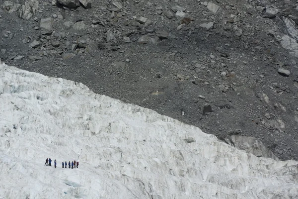弗朗茨 · 约瑟夫冰川。新西兰. — 图库照片