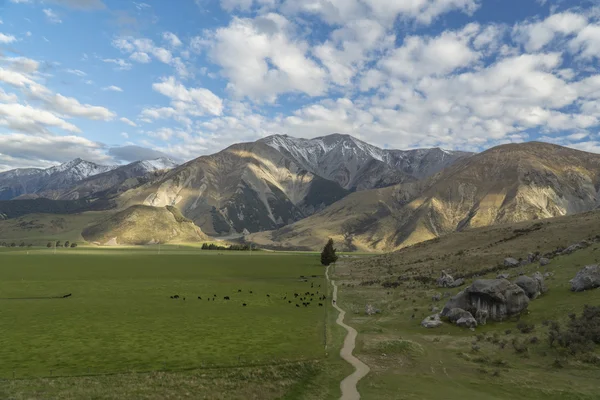 Castle Hill. Nuova Zelanda — Foto Stock