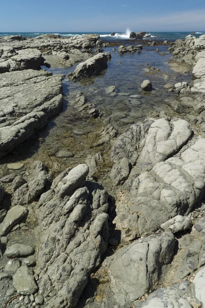 Costa rochosa em Kaikoura, Nova Zelândia — Fotografia de Stock