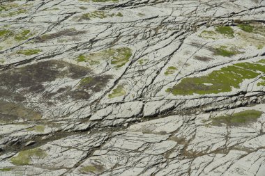 Kayalık sahil Kaikoura, Yeni Zelanda