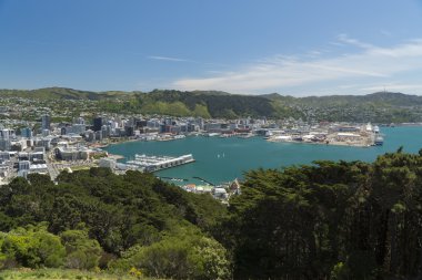 Wellington, Yeni Zelanda