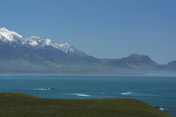 Kaikoura. Нова Зеландія — стокове фото