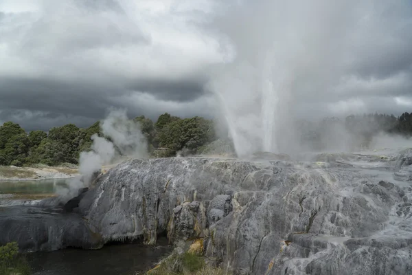 Geyser. Nouvelle Zélande — Photo