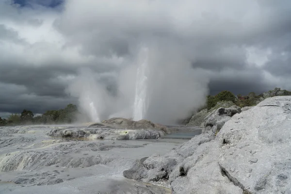 Geyser. Nova Zelândia — Fotografia de Stock