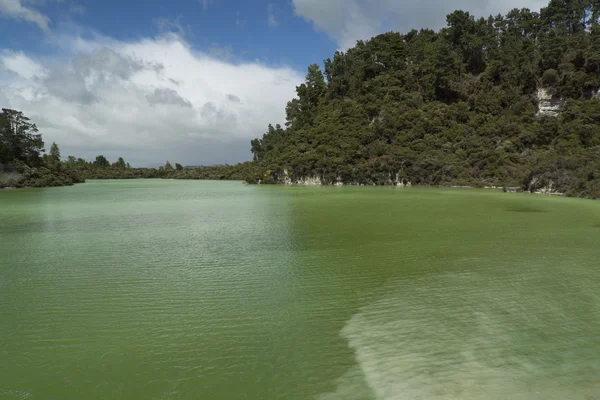 Sopečné jezero. Nový Zéland — Stock fotografie