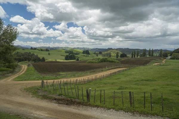 農地。ニュージーランド — ストック写真
