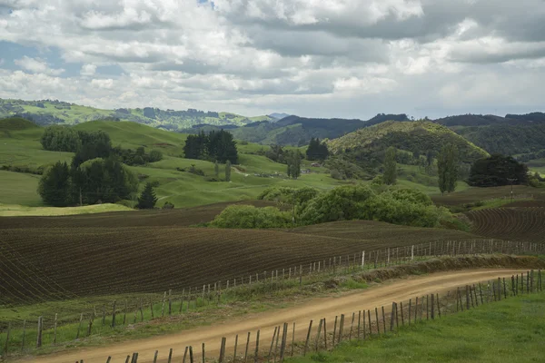 Farmlands. New Zealand — Stock Photo, Image