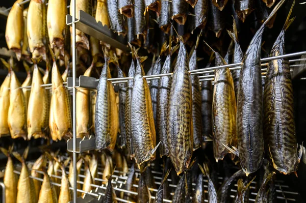 Industrial smoking of fish. Mackerel is suspended from a smoking oven.