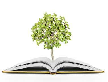 kitap fantezi hikayeleri 