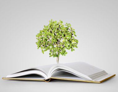 kitap fantezi hikayeleri 