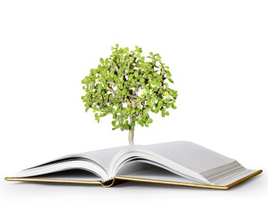 kitap fantezi hikayeleri 