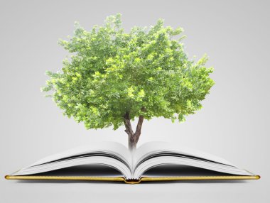 kitap fantezi hikayeleri 