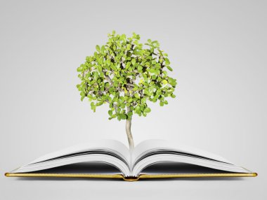kitap fantezi hikayeleri 