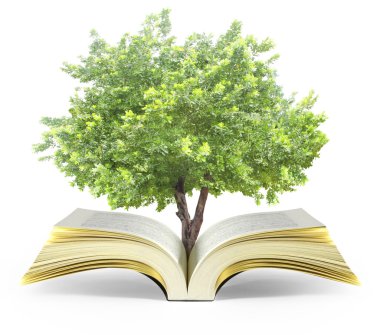 kitap fantezi hikayeleri 