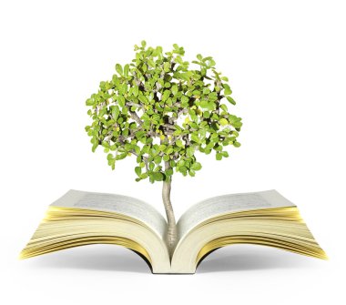 kitap fantezi hikayeleri 