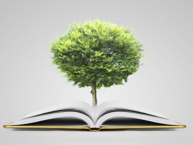 kitap fantezi hikayeleri 