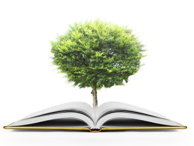 kitap fantezi hikayeleri 