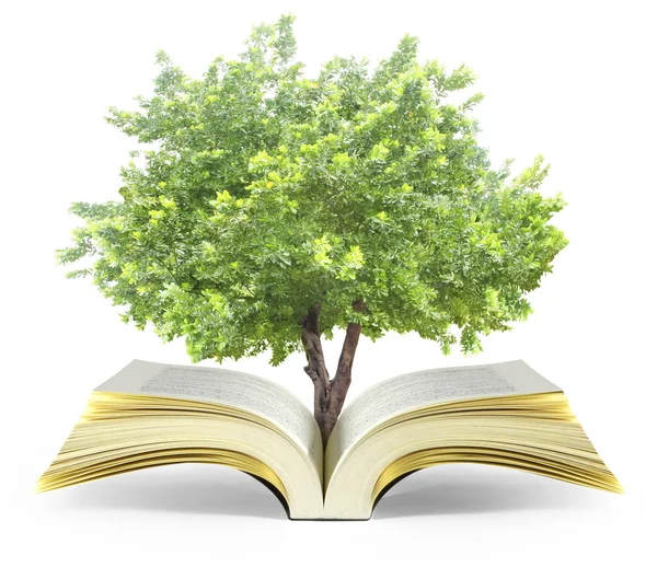 kitap fantezi hikayeleri 