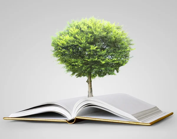 kitap fantezi hikayeleri 