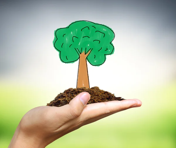 Mani umane che tengono albero — Foto Stock