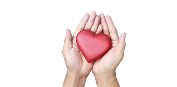 Kırmızı Bir Kalbi Tutan Eller Kalp Sağlığı Bağışı Kavramları — Stok fotoğraf