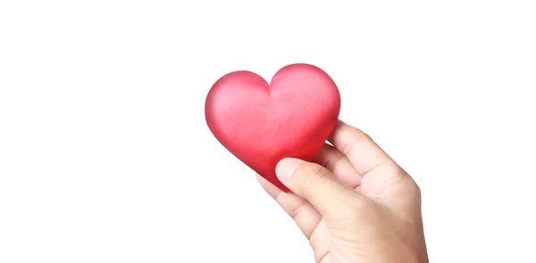 Руки Держат Красное Сердце Концепции Донорства Здоровья Сердца — стоковое фото
