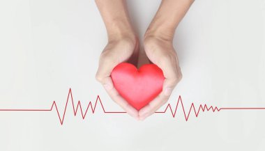 Kırmızı bir kalbi tutan eller. kalp sağlığı bağışı kavramları