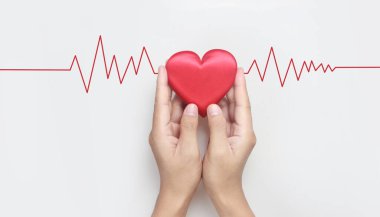 Kırmızı bir kalbi tutan eller. kalp sağlığı bağışı kavramları