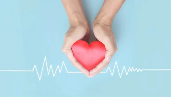 Hands Holding Red Heart Heart Health Donation Concepts — Stock Photo, Image