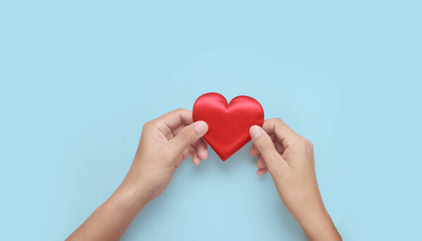 Hands holding a red heart. heart health donation concepts